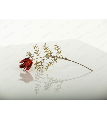 Стол обеденный Giant GL